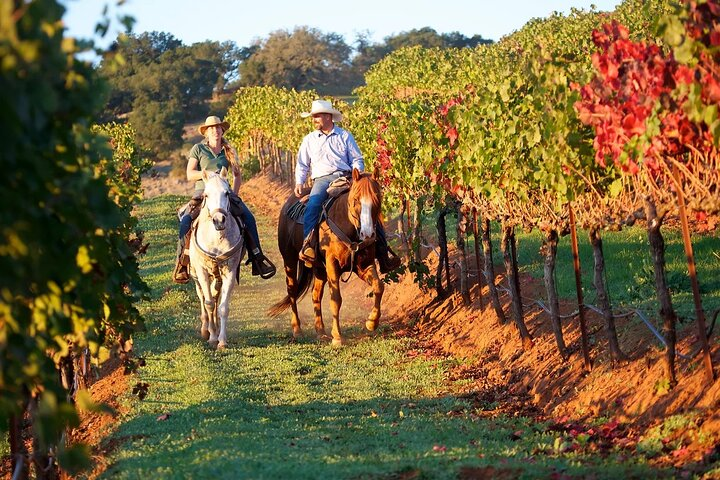 Guided Horseback Tour only 30 mins from Sedona.  - Photo 1 of 5